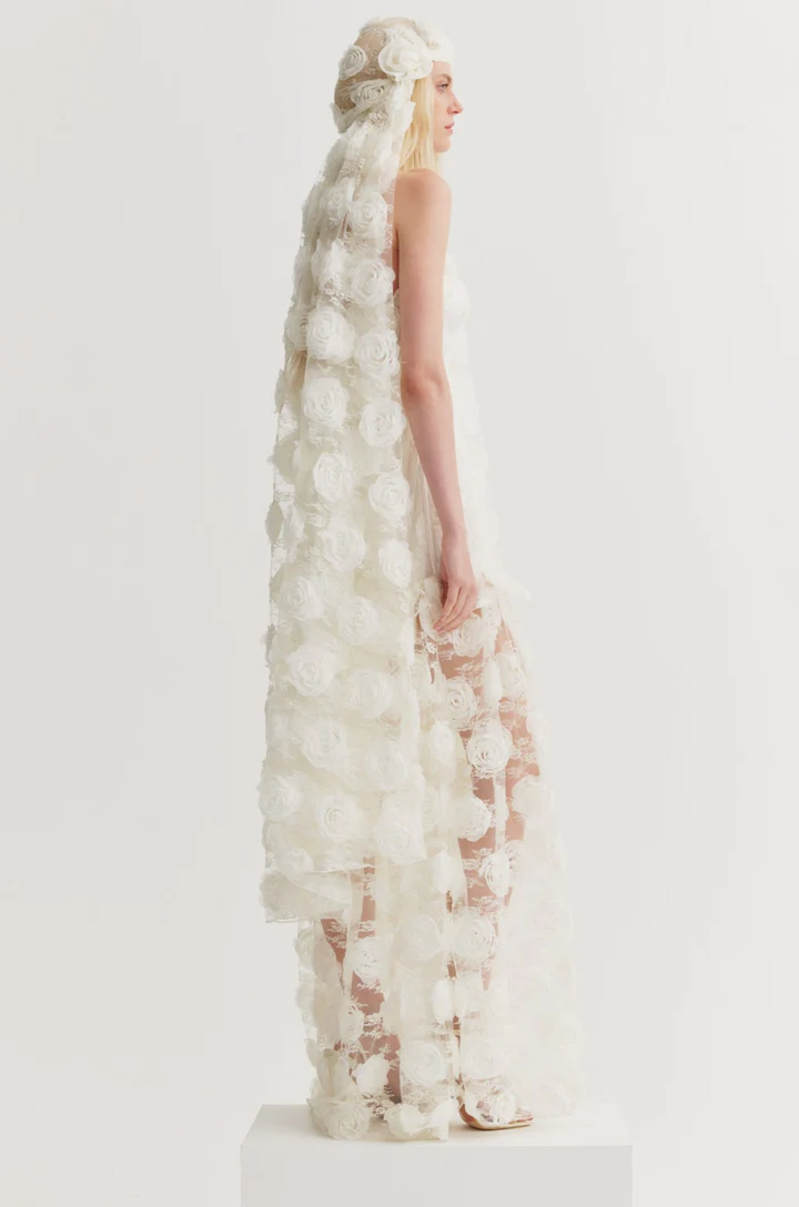 Cyrus Veil