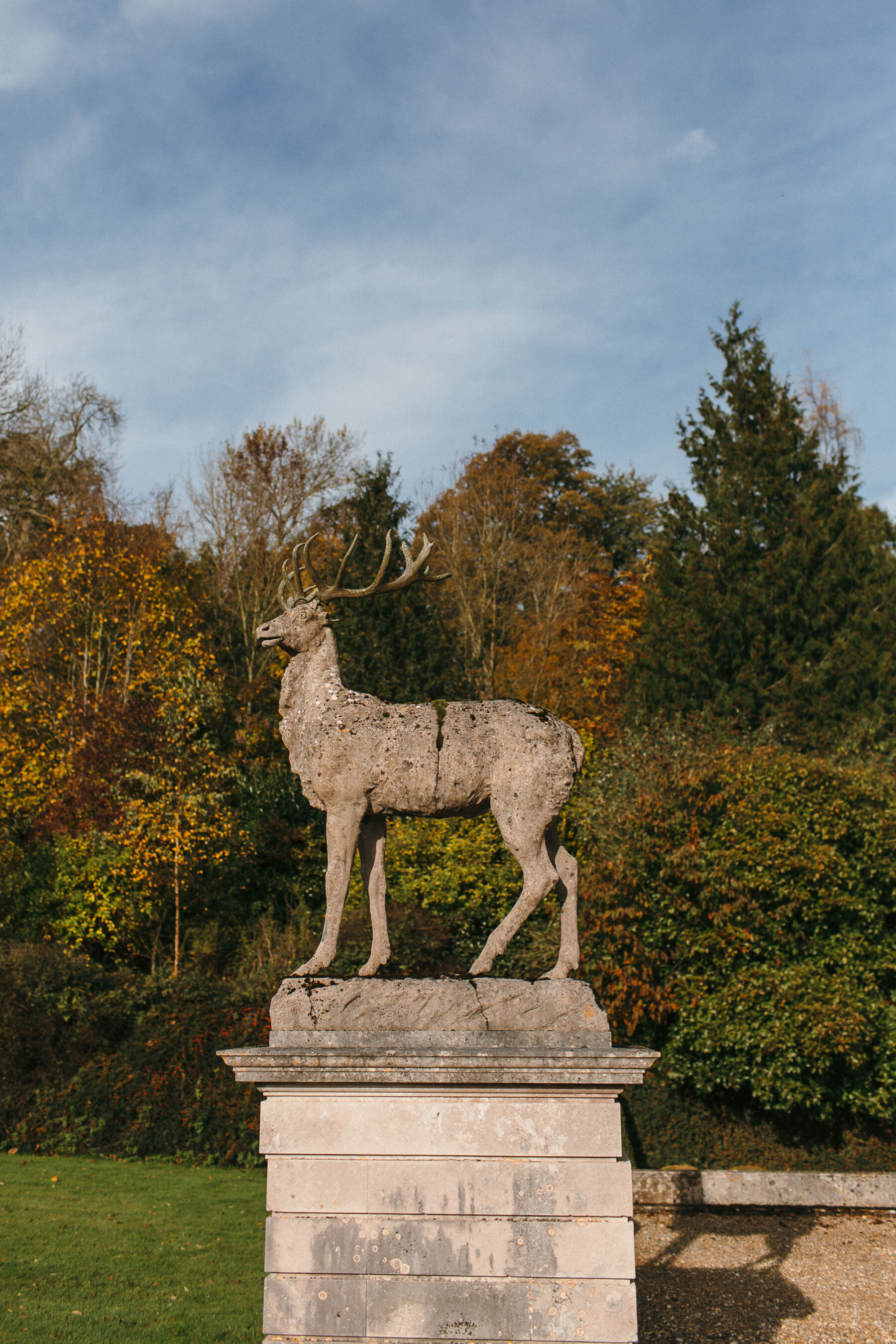 Ornamental deer standing within the grounds of Pynes House wedding venue, near Exeter, UK.