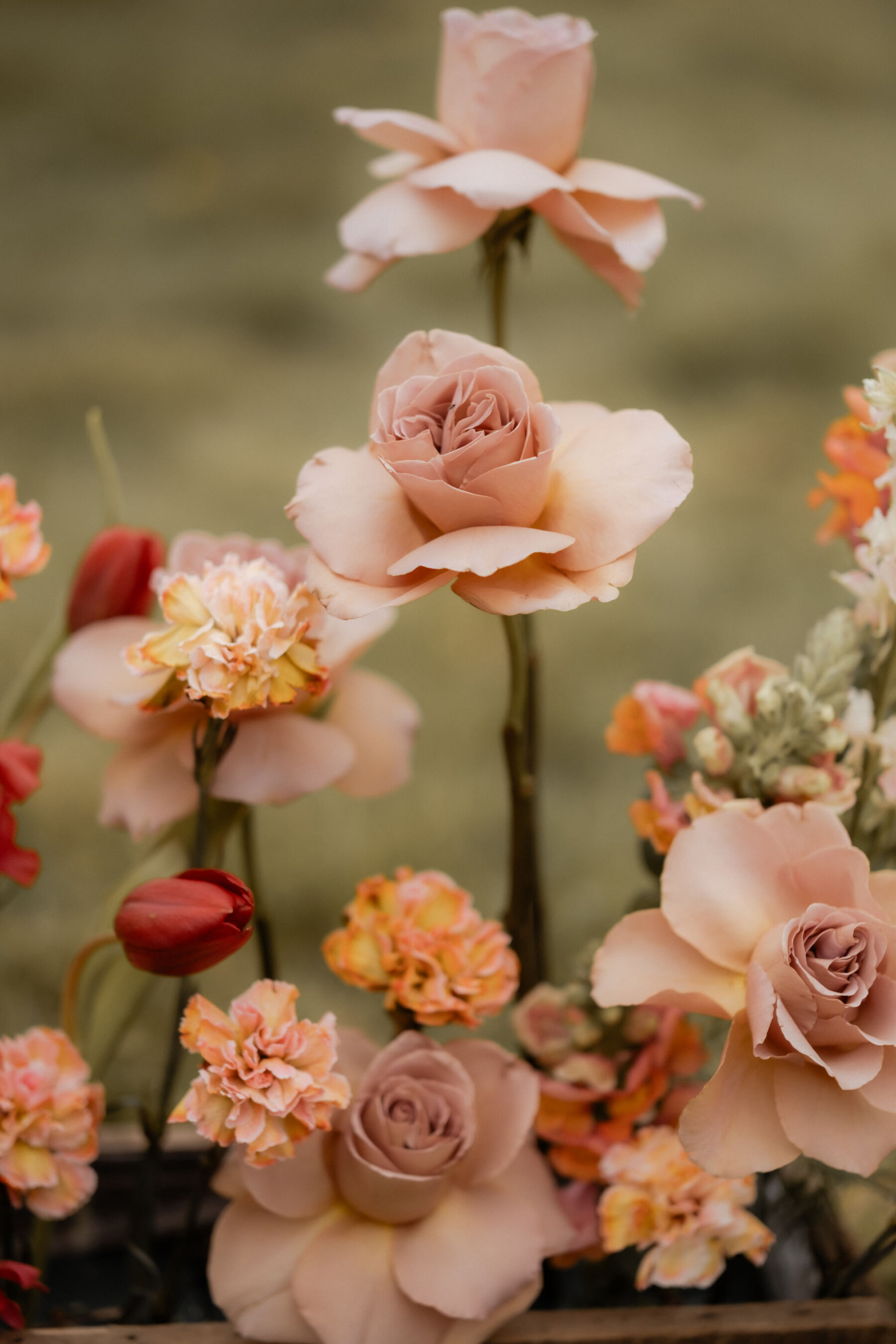 Modern wedding flowers in shades of dusky pink.