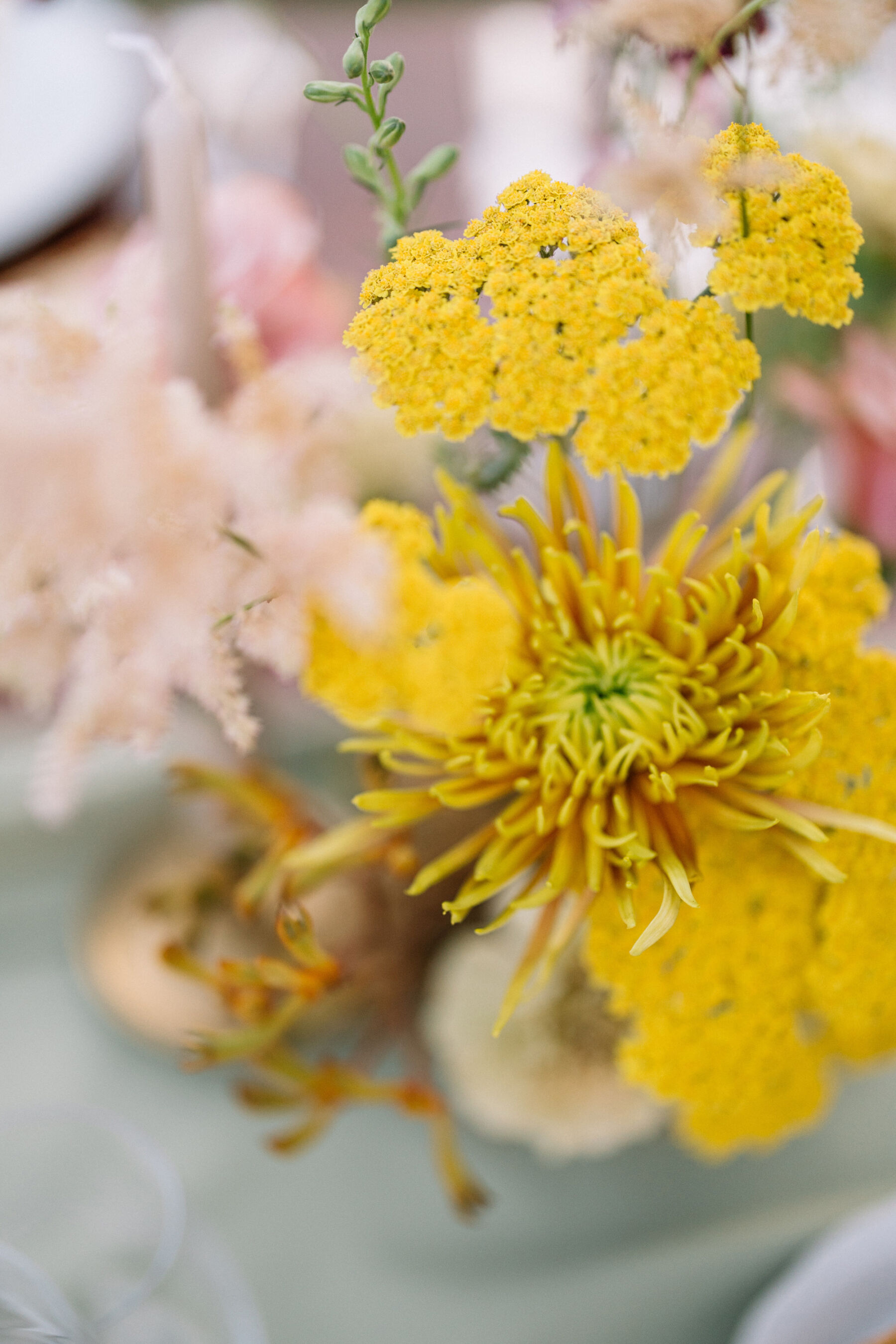 A Professional Wedding Planner's Wedding at Colle Massari in Tuscany, Italy 29 Close up shot of yellow flowers.
