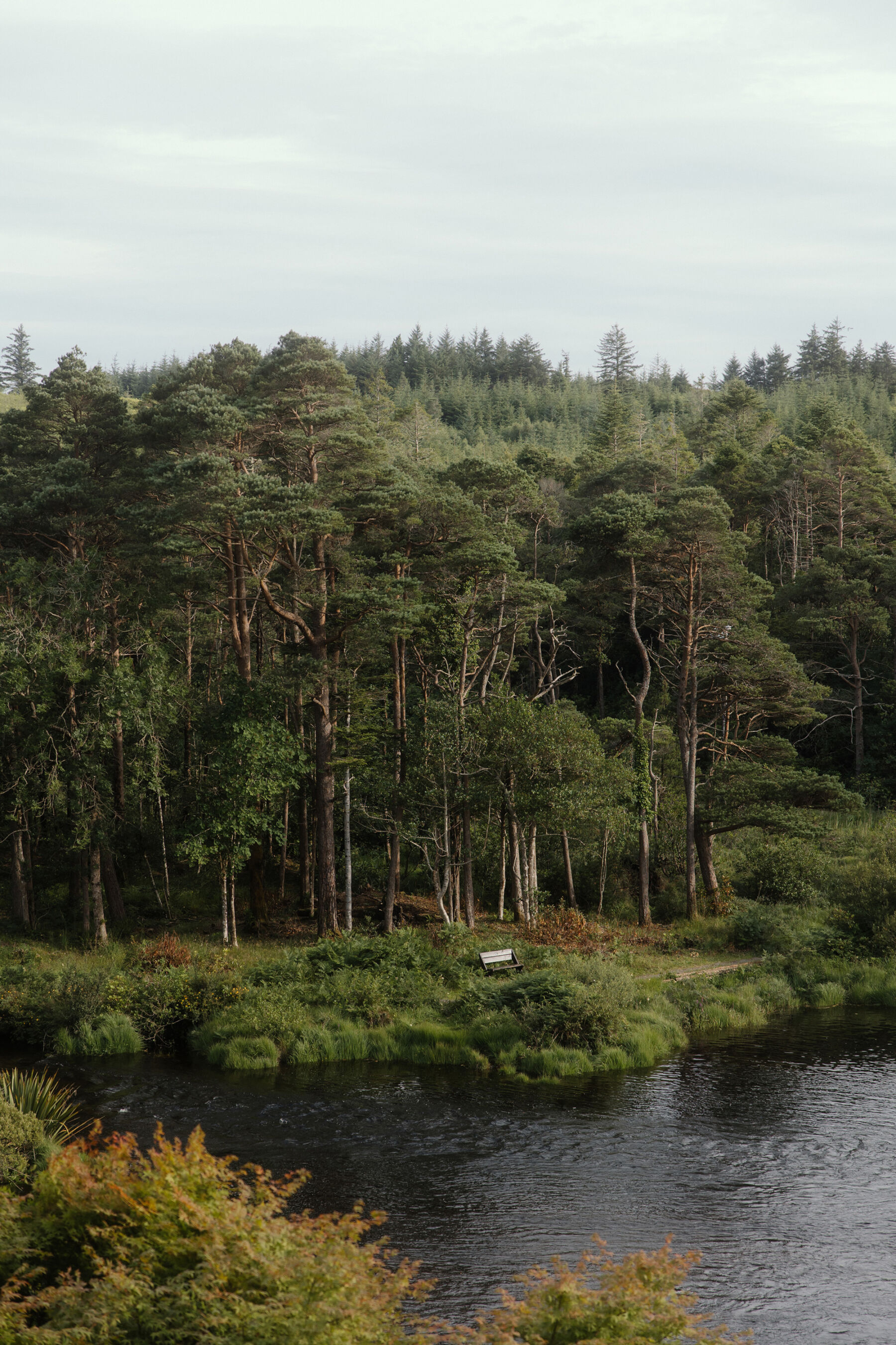 Romantic Ballynahinch Castle Wedding: Ciara in Danielle Frankel 8 Trees, woodland and river at Ballynahinch Castle in Ireland.