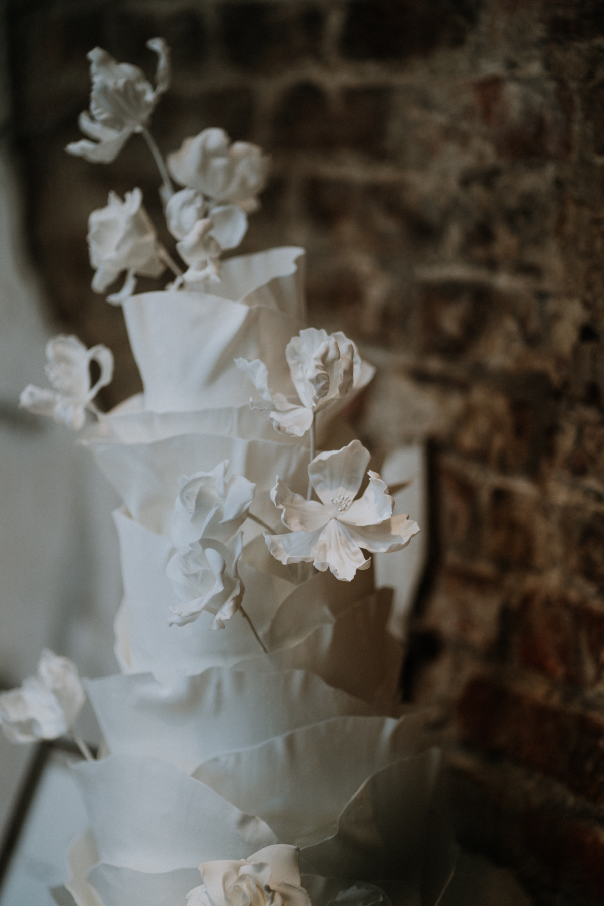 CAKES Georgina Harrison Photography