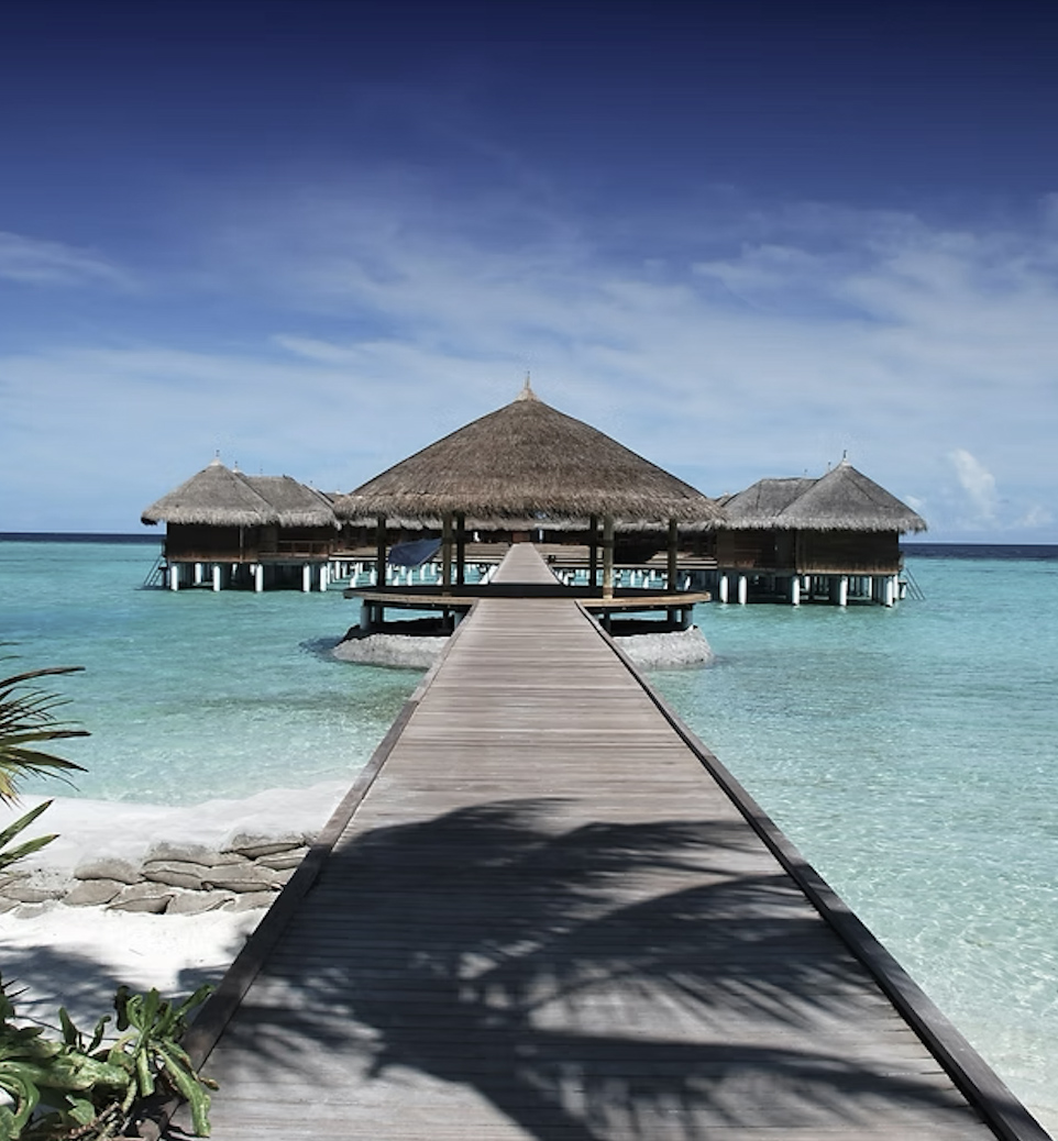 HONEYMOON 2