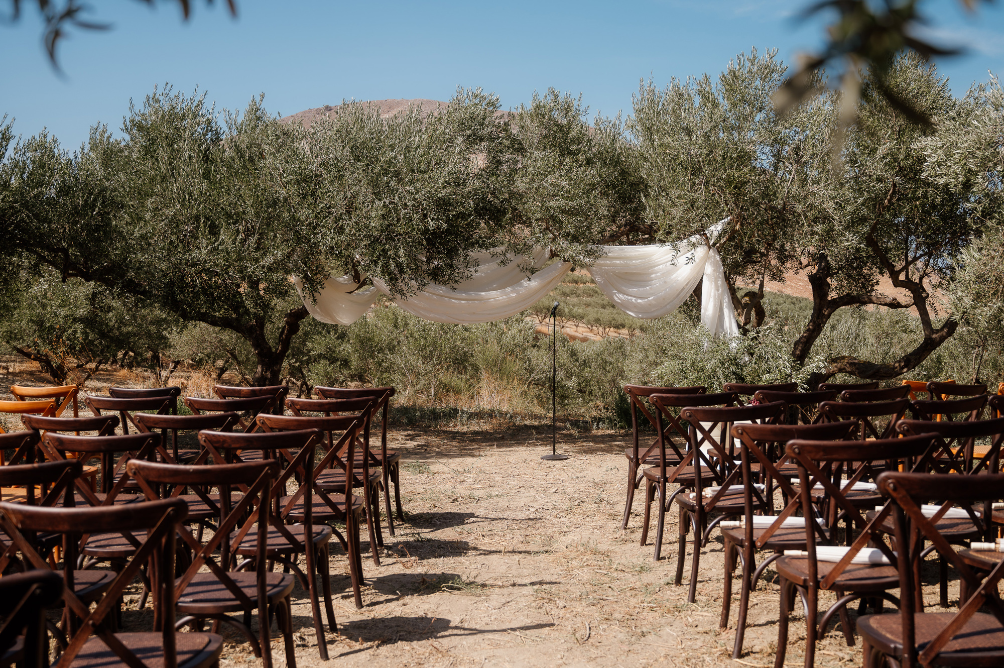 Alex & Jon’s Non-Traditional Wedding in the Olive Groves of Crete 25 octograph 284 Z6A 3599