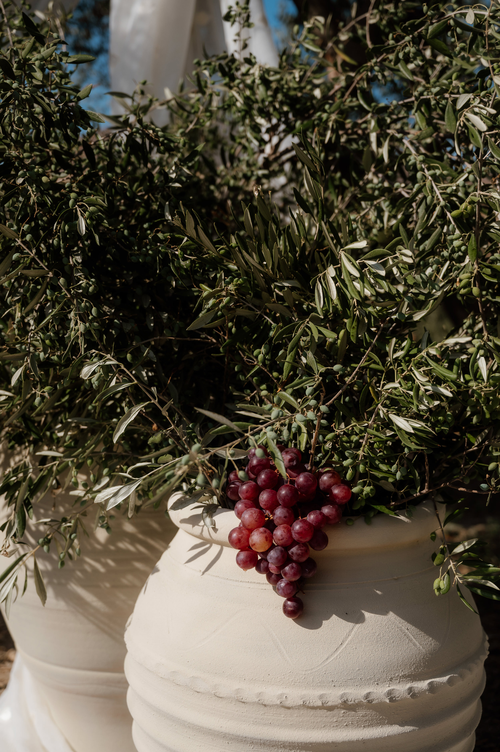 octograph 297 Z6A 3649 - Alex & Jon’s Non-Traditional Wedding in the Olive Groves of Crete octograph 297 Z6A 3649