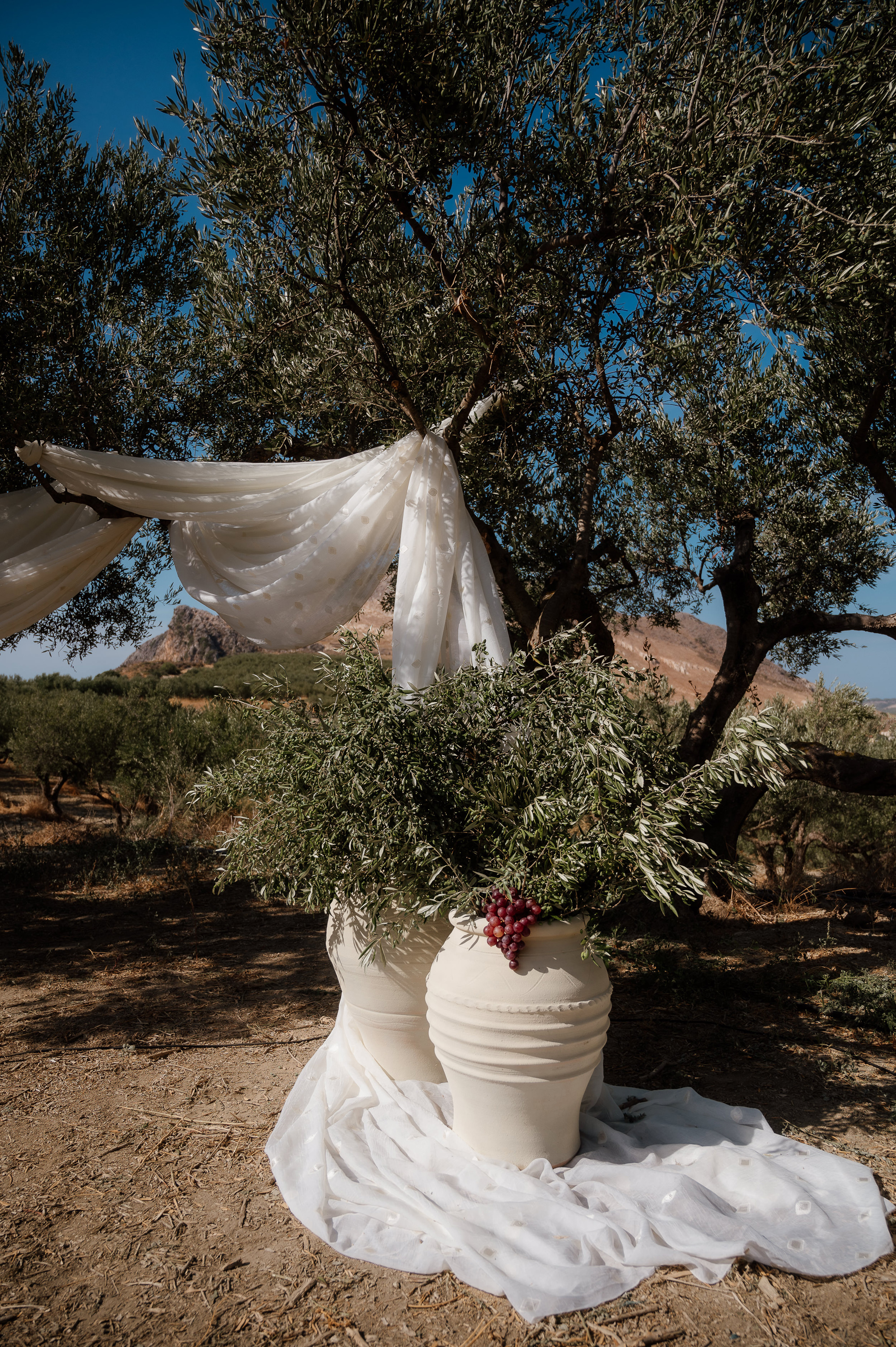 octograph 299 Z6A 3661 - Alex & Jon’s Non-Traditional Wedding in the Olive Groves of Crete octograph 299 Z6A 3661