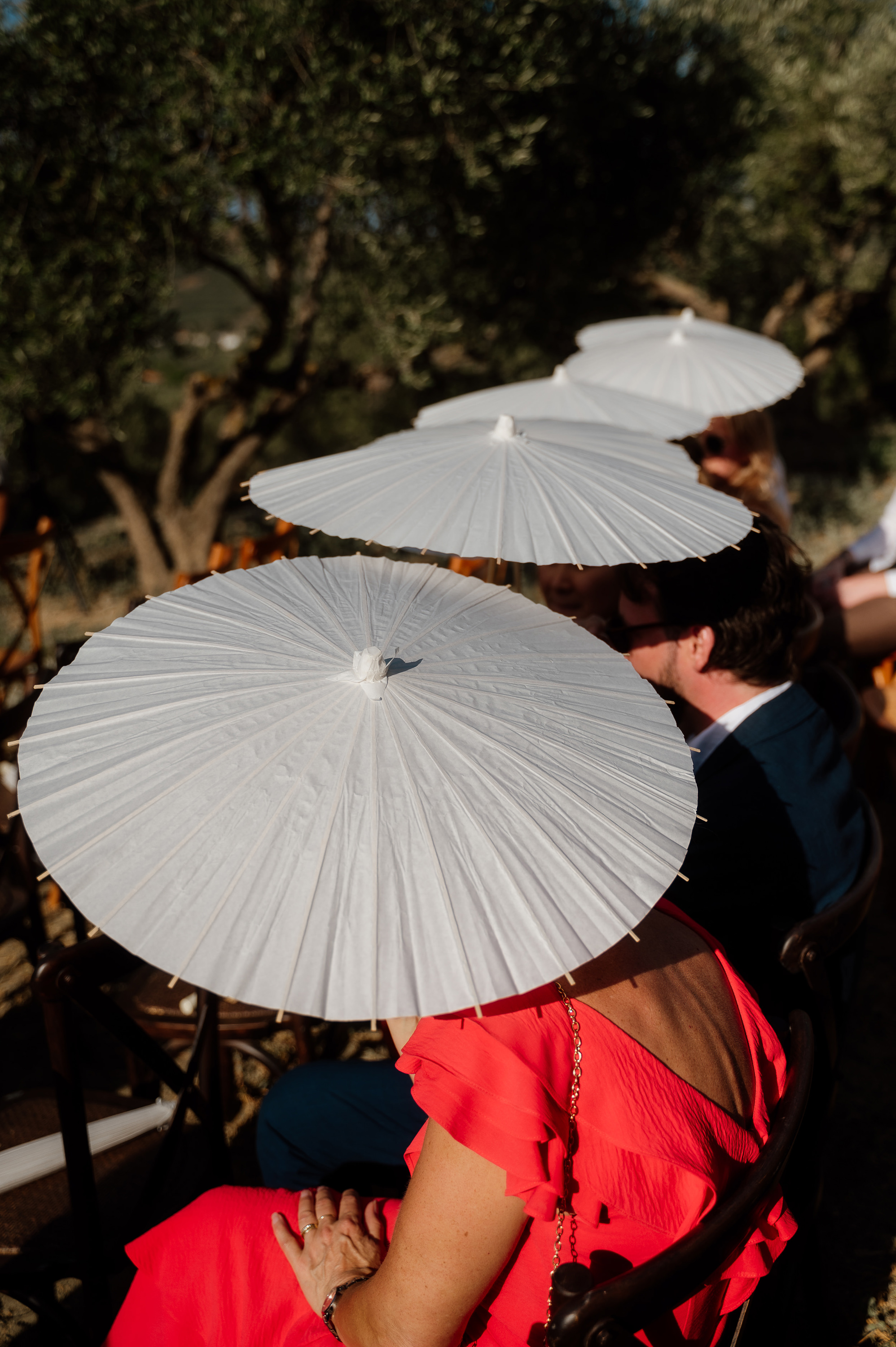 octograph 473 Z62 1537 - Alex & Jon’s Non-Traditional Wedding in the Olive Groves of Crete octograph 473 Z62 1537