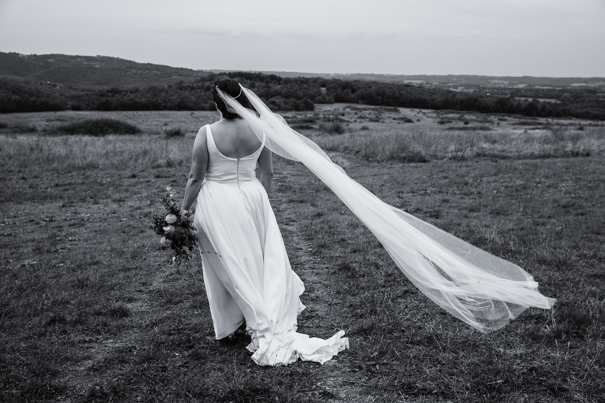 Black and white image from behind a curvy bride walking through a field, her veil caught in the breeze.