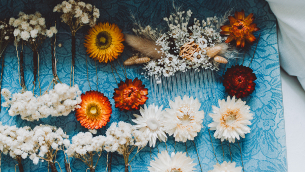 Alexandra Palombi Photography