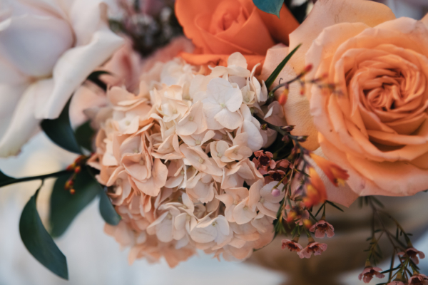 Alexandra Palombi Photography