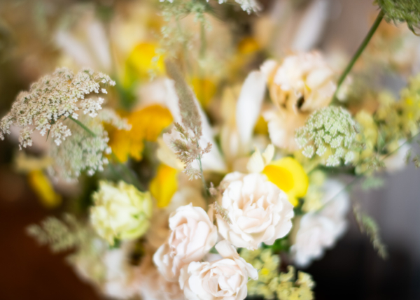 Alexandra Palombi Photography