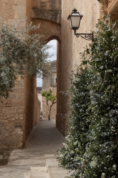Sus Pons Wedding and Elopement Photographer