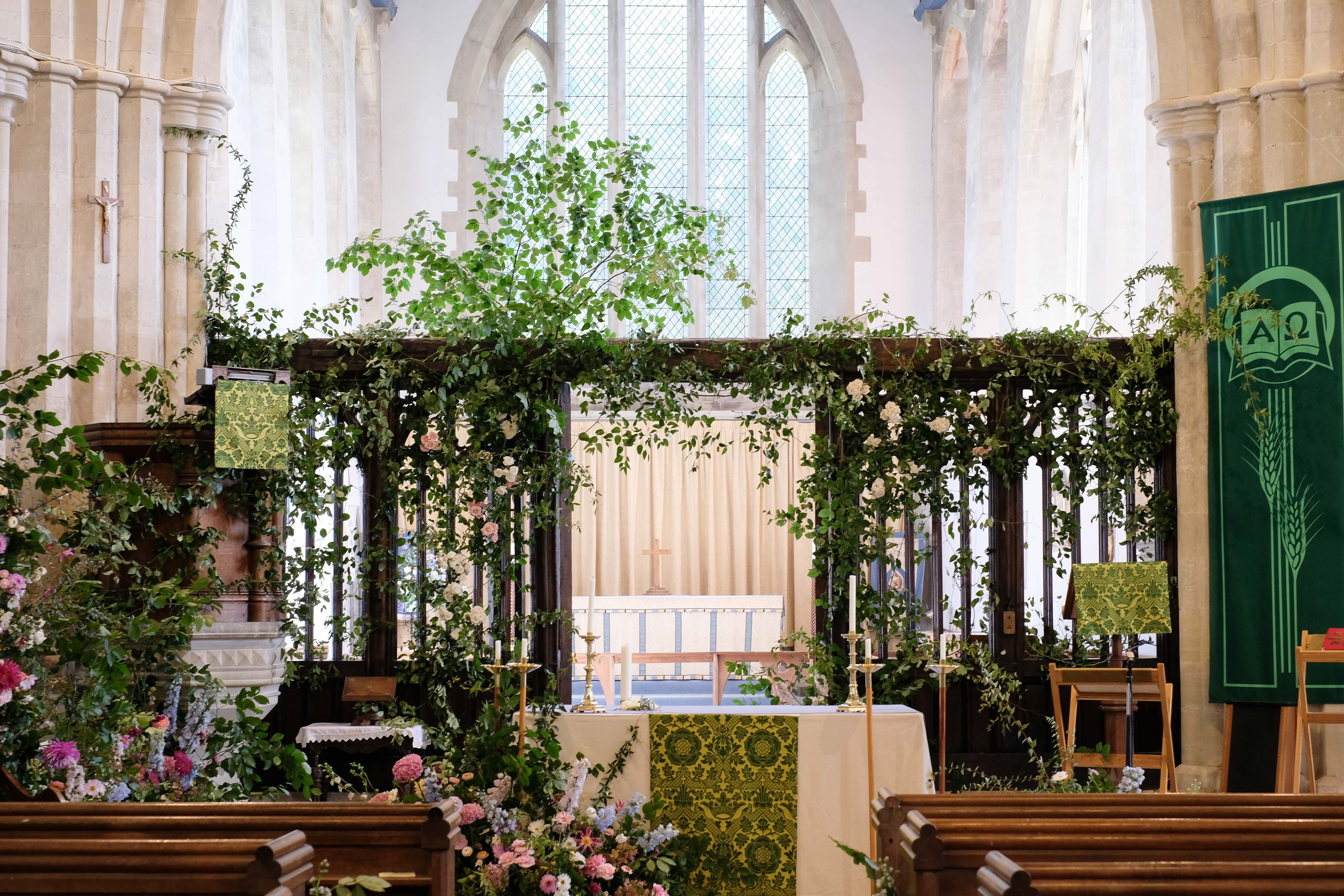 Feverfew 4 Nat sept 049 1