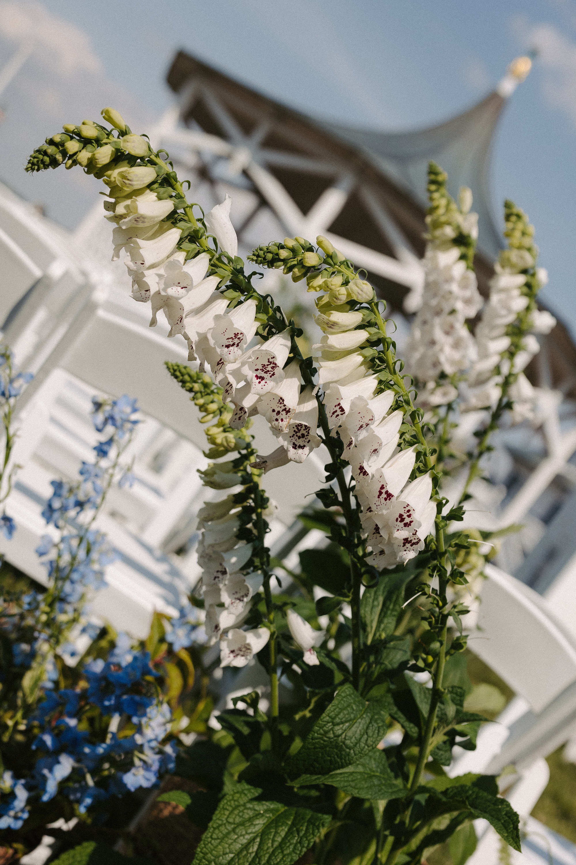Alexandra Grecco Bride Harriet Gown The Chesapeake Bay Maritime Museum Wedding 125 - Caroline in Alexandra Grecco for her Coastal Inspired Wedding Alexandra Grecco Bride Harriet Gown The Chesapeake Bay Maritime Museum Wedding 125