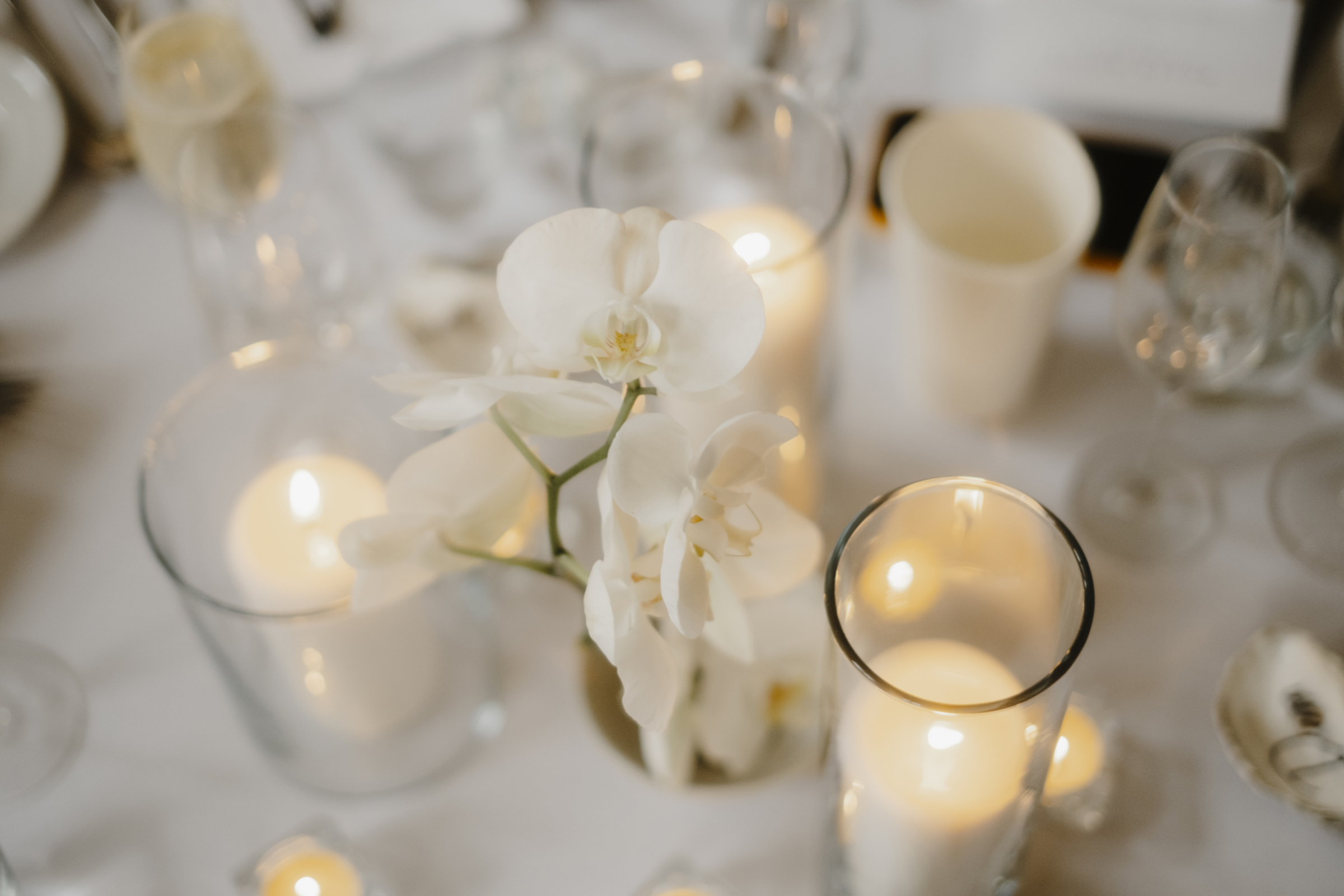 Boath House Nairn Wedding Harper Scott Photography 62 - Grant & Mimmi's Effortlessly Elegant Wedding at Boath House in Nairn Boath House Nairn Wedding Harper Scott Photography 62