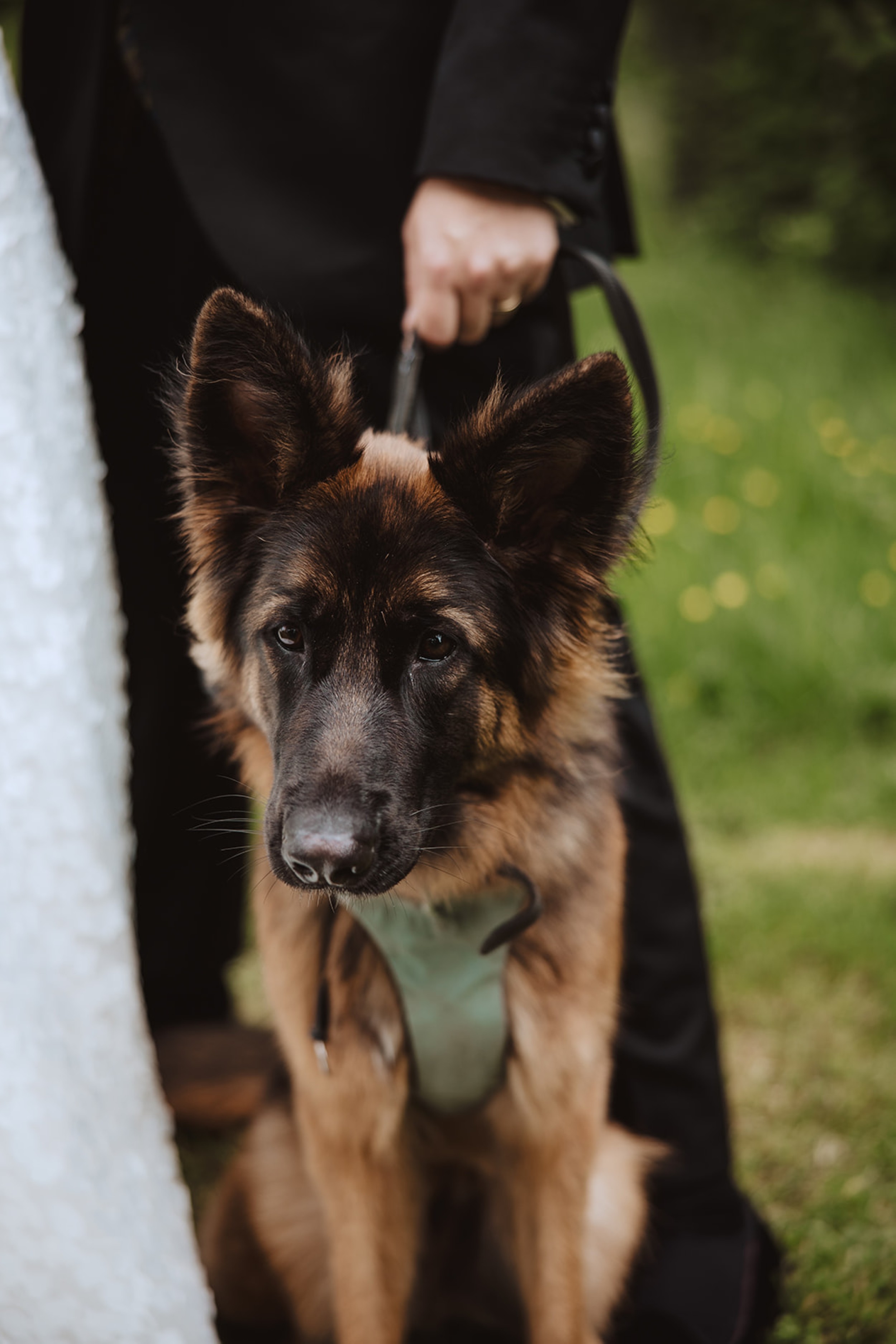 Bore Place Wedding Sassi Holford bride 86 - Hatty & Ben’s Nancy Meyers Inspired Black Tie Wedding at Bore Place, Kent Bore Place Wedding Sassi Holford bride 86