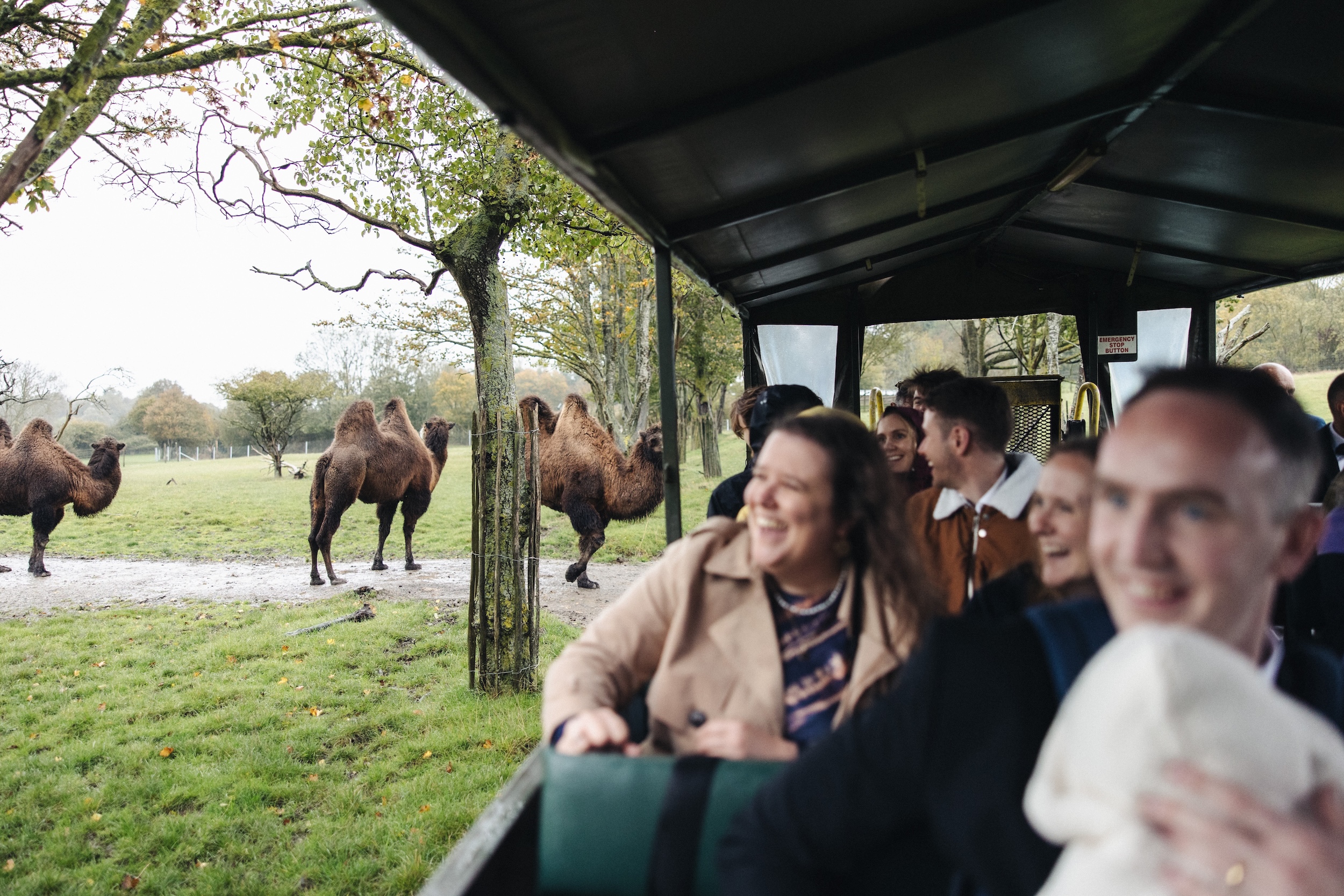 Aimée and Ollie’s Beautiful Rainy Day Wedding at Port Lympne Hotel & Reserve 111 Port Lympne Reserve Wedding 147