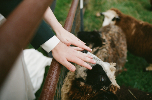 Alyssa Soucy Photography