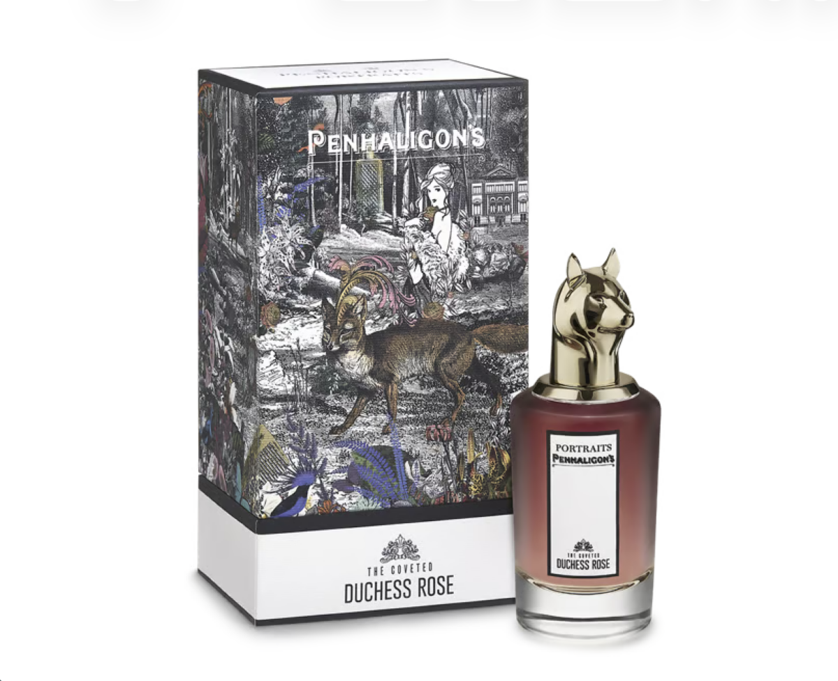 The Coveted Duchess Rose