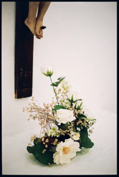 Clarissa Sofía Studio