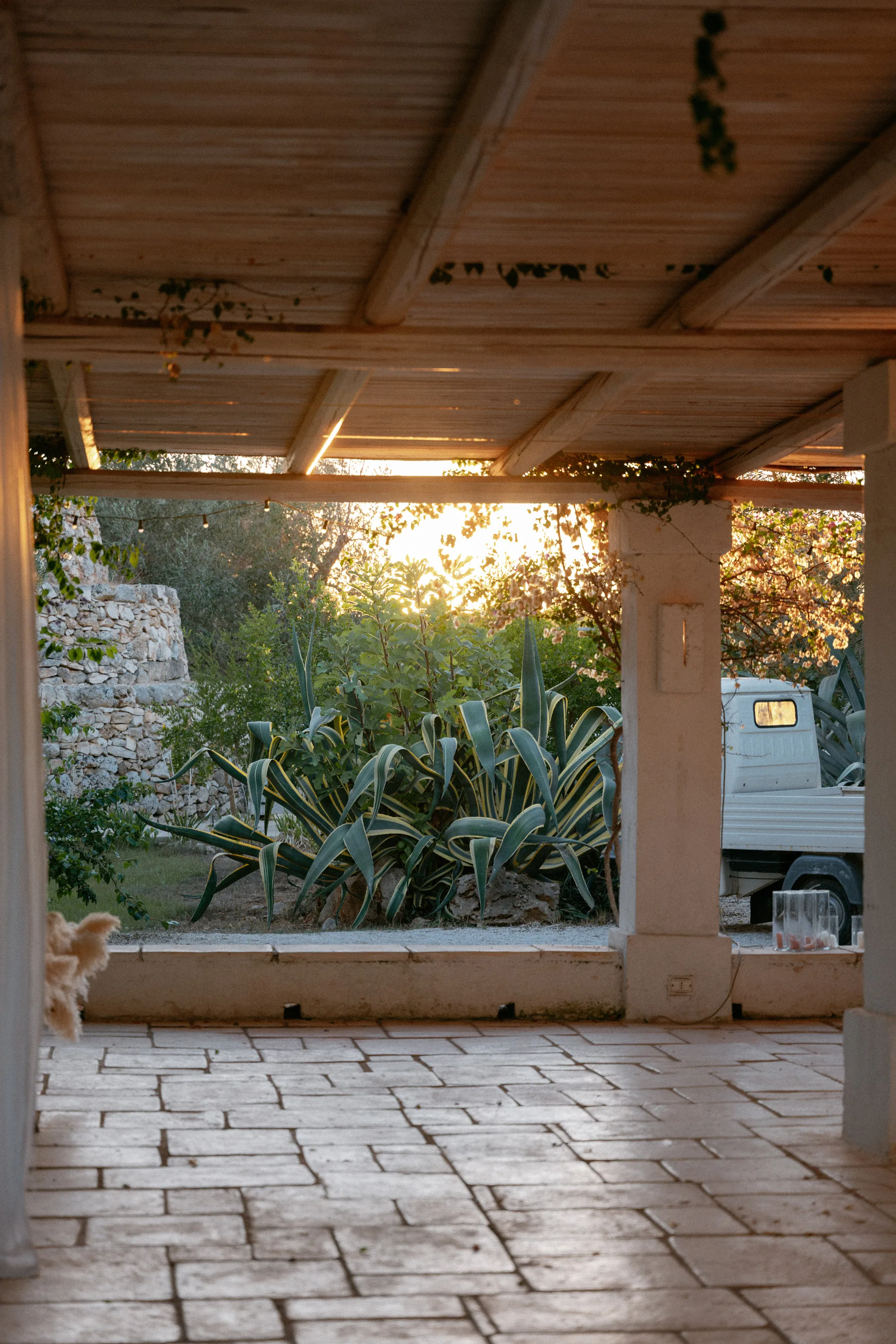 Multiple Day Destination Wedding in Masseria Potenti Puglia Italy 119 - Yael Wore Chana Marelus & A Handmade Beaded Veil for her Relaxed Italian Masseria Wedding Cactus plants in the gardens at Masseria Potenti wedding venue in Puglia Italy.