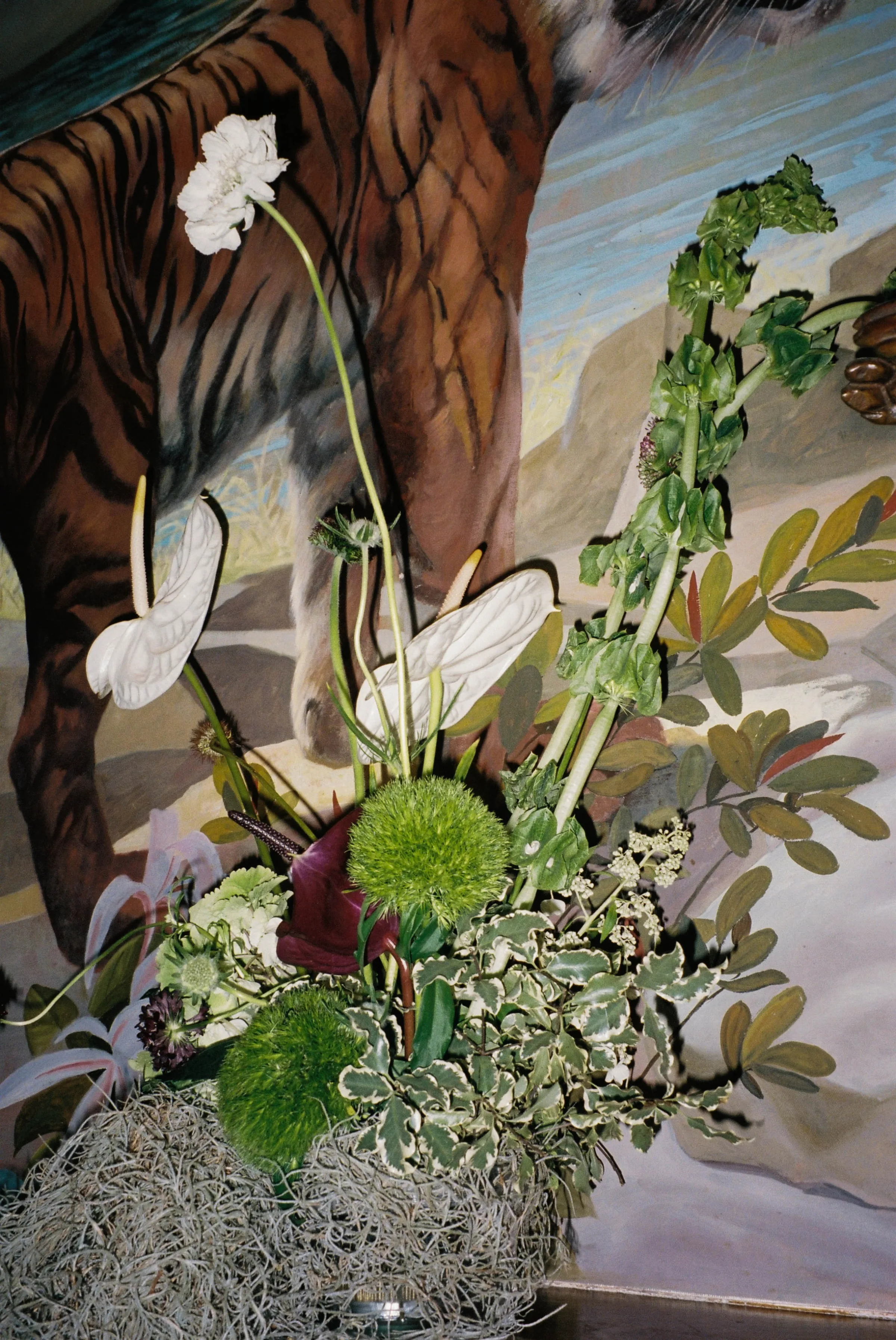 Port Lympne Safari Park New Orleans Wedding Editorial The Chamberlins Film Medium Format Photography London Surrey 26 - Wedding Inspiration That Celebrates The Joy, Diversity & Vibrancy of New Orleans Modern floral wedding decor featuring large white orchids.