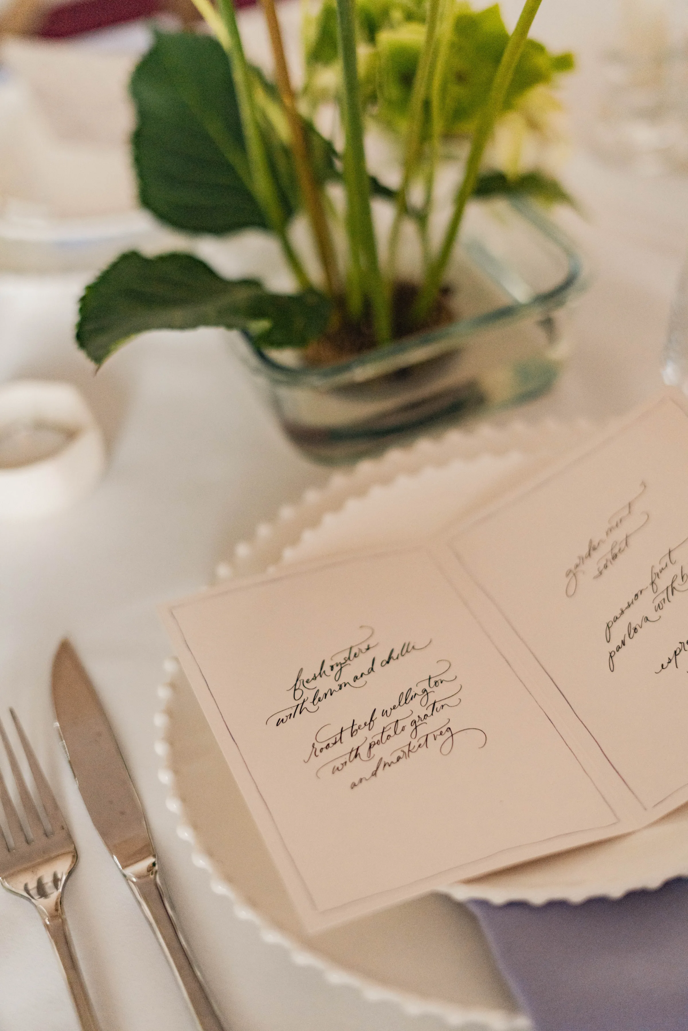 SS Port Lympne Safari Park New Orleans Wedding Editorial The Chamberlins Film Medium Format Photography London Surrey 484 - Wedding Inspiration That Celebrates The Joy, Diversity & Vibrancy of New Orleans Elegant wedding calligraphy in a printed booklet resting on a white plate with beaded rim.