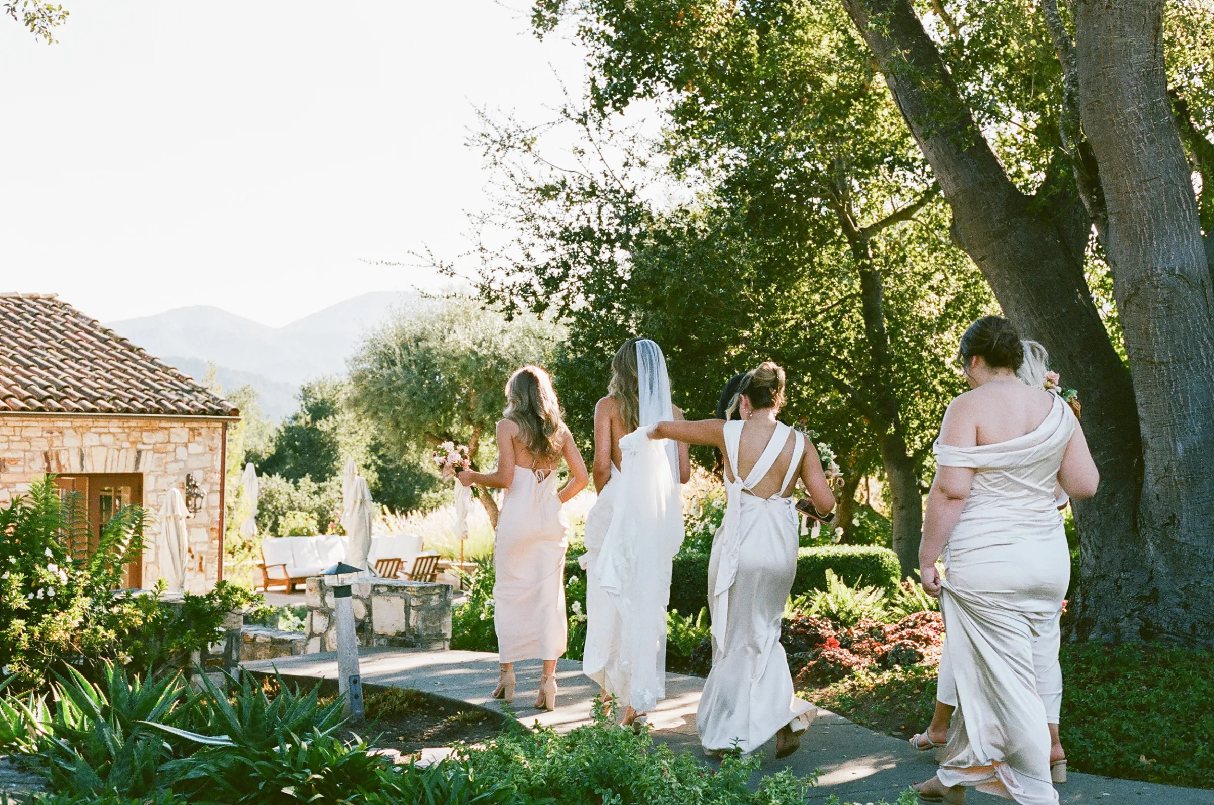 Holman Ranch Vineyard Wedding in California