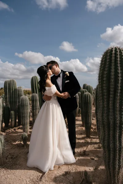 theWEDpix