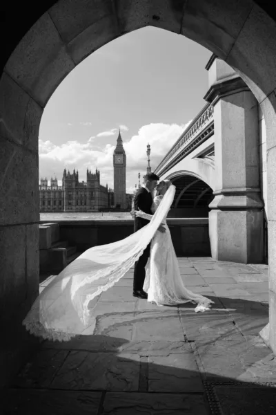theWEDpix