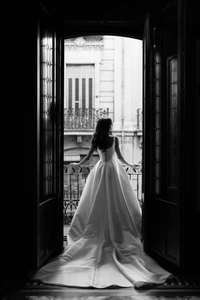 theWEDpix
