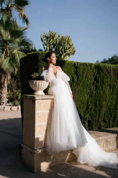 theWEDpix