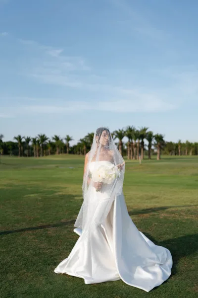 theWEDpix