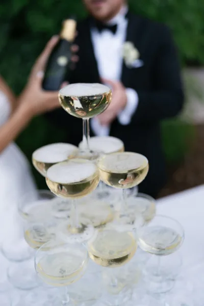 theWEDpix