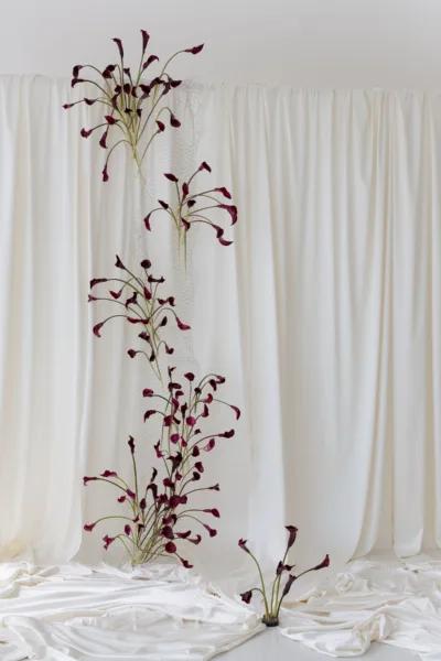 Tall burgundy calla lily floral installation against white drapery, a statement wedding design by Zahra Studio Events