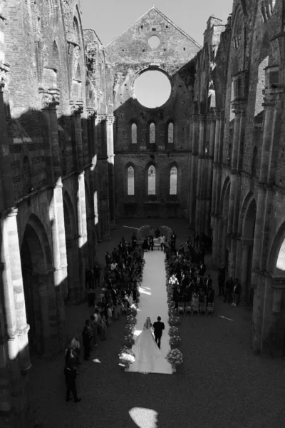 theWEDpix