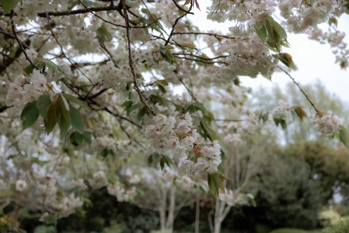 Cottagecore Wedding Inspiration at Alfriston Gardens