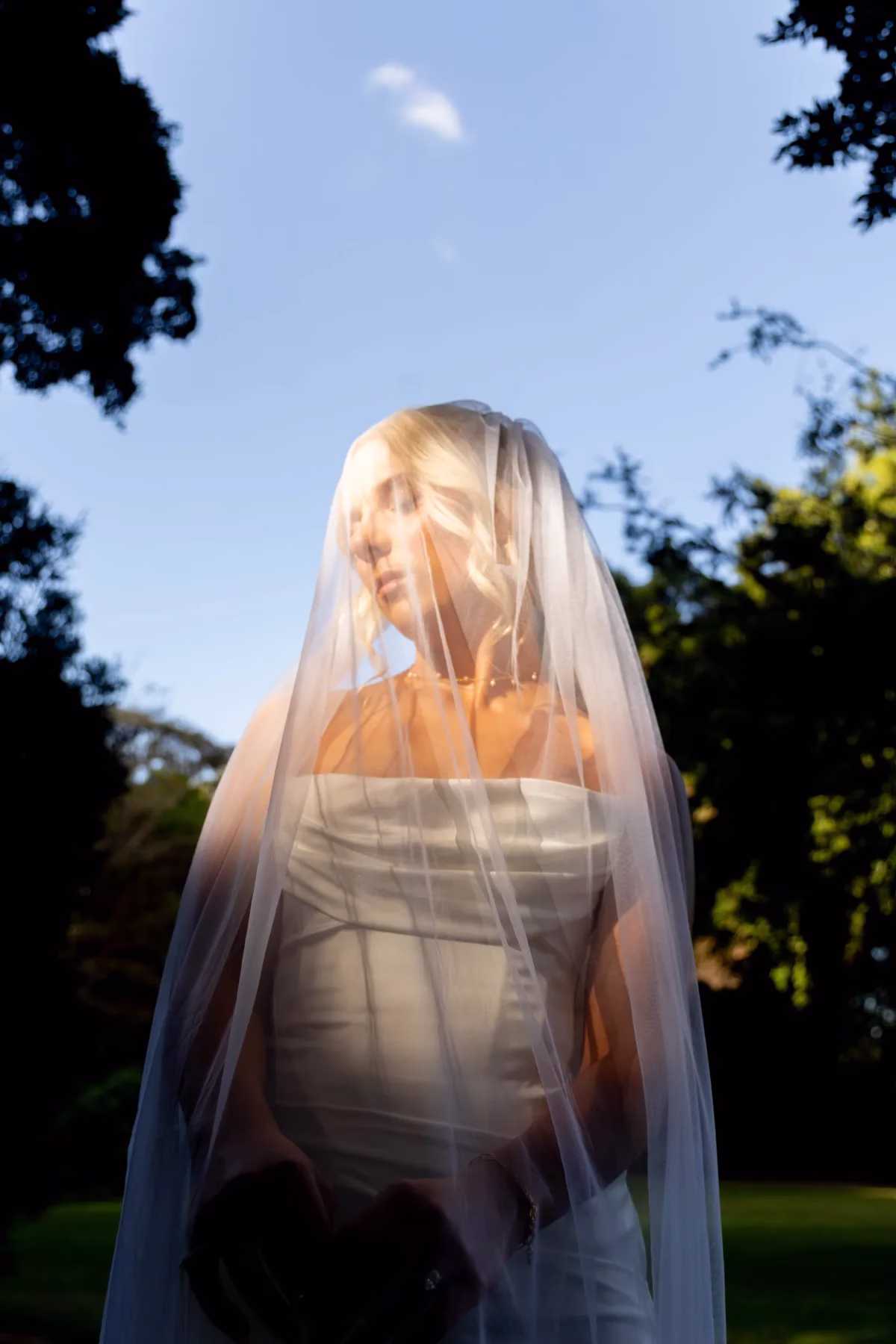 bride sheer veil sunlit portrait the light photo and film 1 - The Light Photo & Film: 35mm Wedding Photography and Super 8 for Creative Couples Bride in a strapless dress and sheer veil standing in warm sunlight against trees and blue sky.
